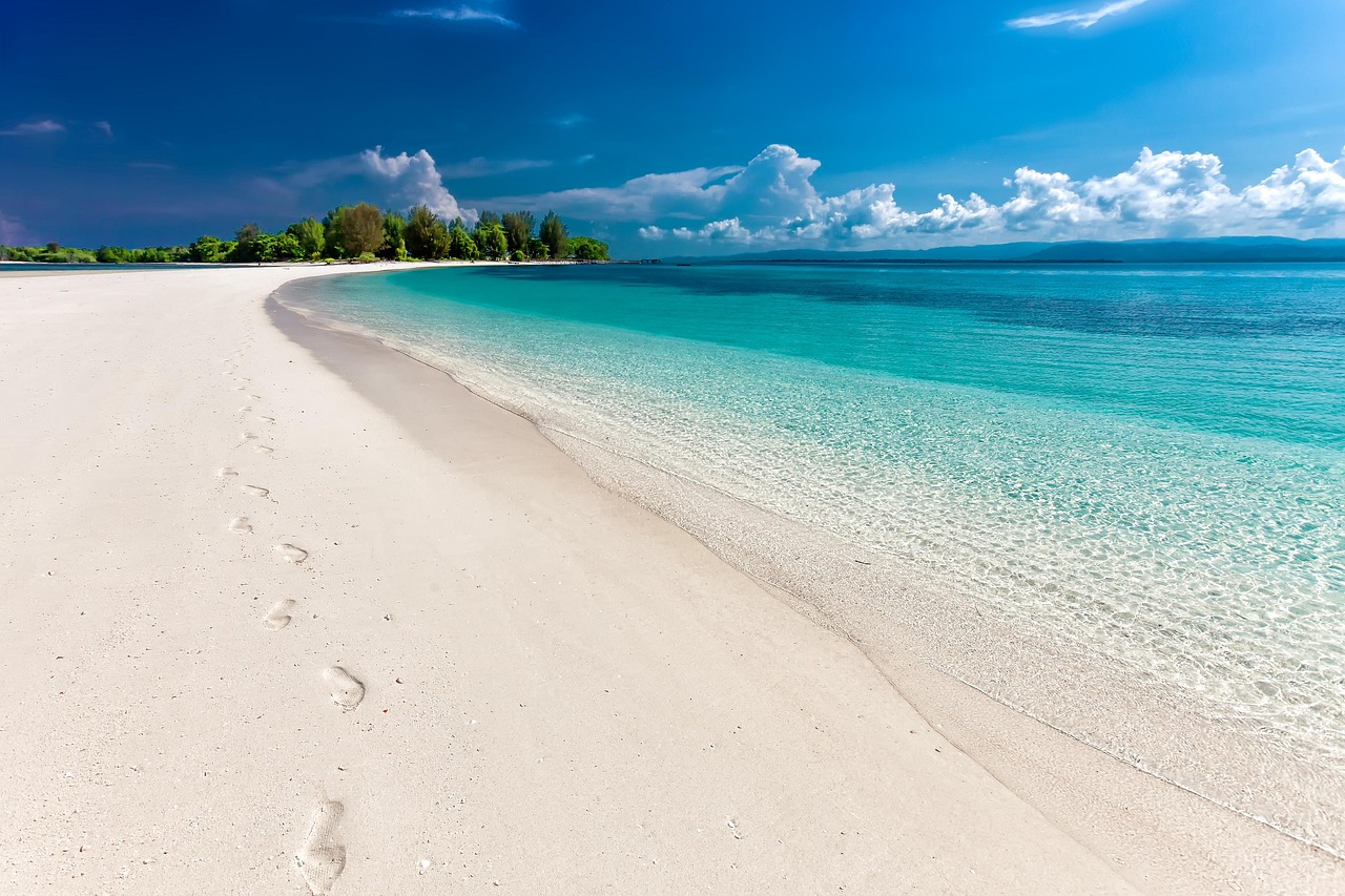 festivalul beach please