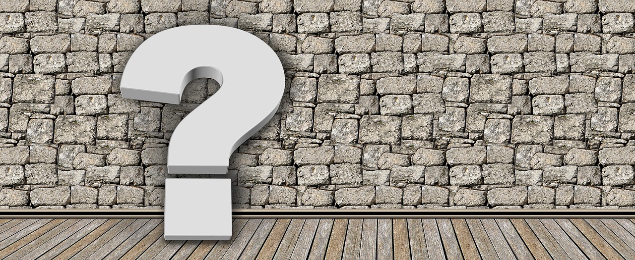 cine este andreea bostanica