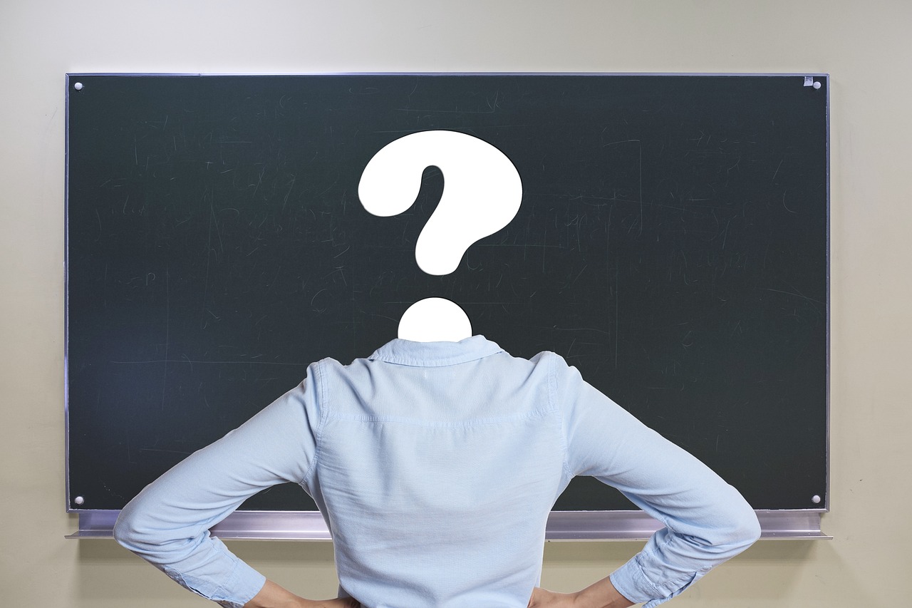 cine este amalia bellantoni