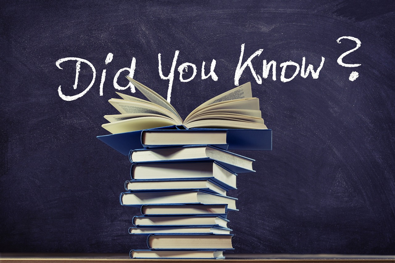 cati ani are angelina jolie