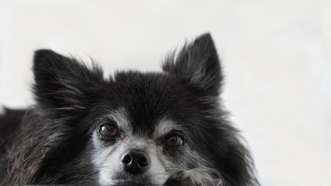 filme cu angelina jolie